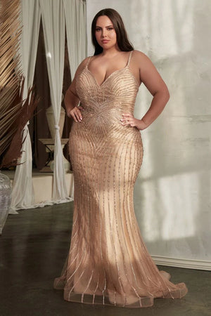 Plus Size Prom Dresses
