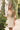 Cocktail Dresses Short Cocktail Lace Dress Champagne