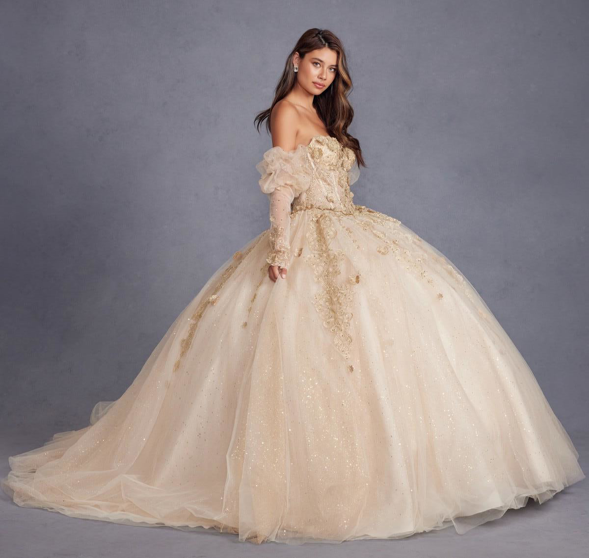 Quinceniera Dresses Long Ball Gown 3D Floral Sweet 16 Quinceanera Dress Champagne