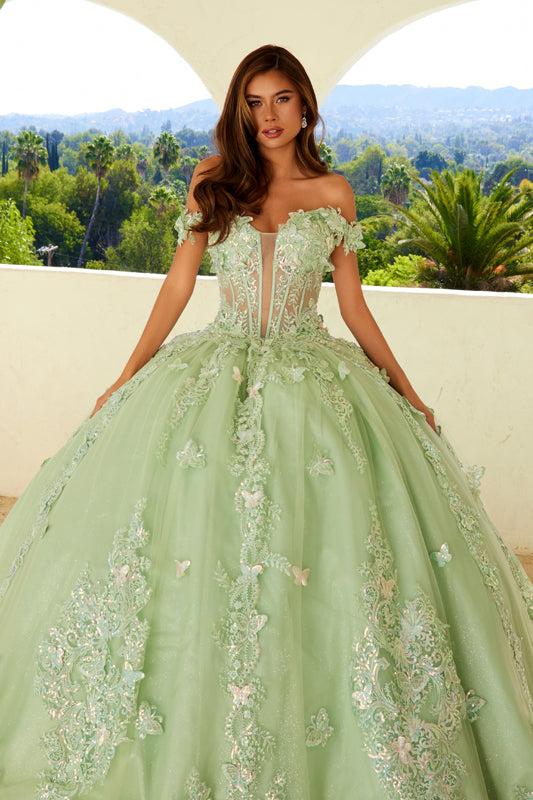 Quinceniera Dresses Long Ball Gown Glitter Sweet 16 Quinceanera Dress Sage Green