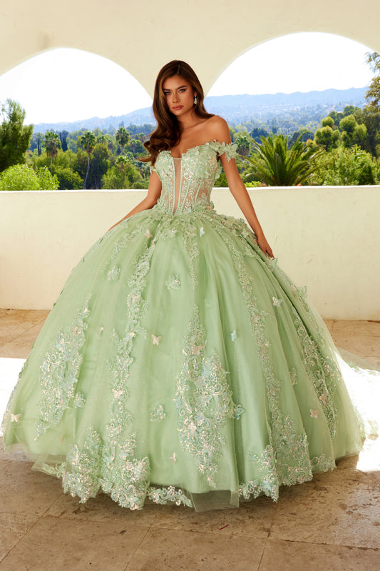Quinceniera Dresses Long Ball Gown Glitter Sweet 16 Quinceanera Dress Sage Green