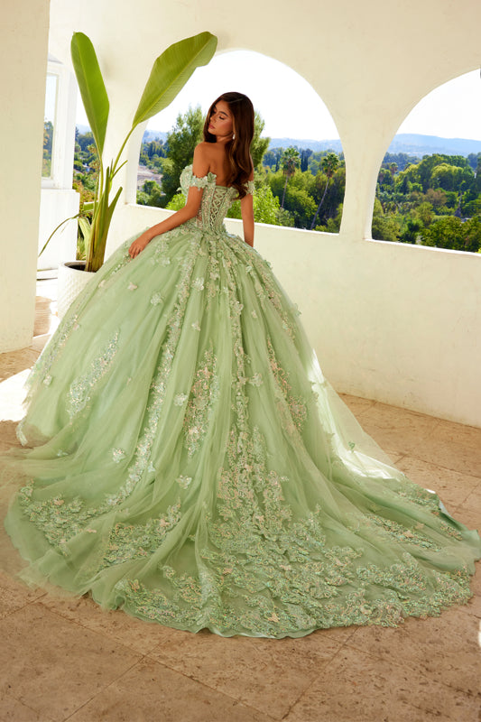 Quinceniera Dresses Long Ball Gown Glitter Sweet 16 Quinceanera Dress Sage Green