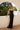 Prom DressesProm Long Fitted Corset Formal Sequin Dress Black