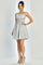 Cocktail Dresses Short Homecoming Glitter Corset Prom Dress Silver