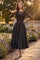 Glitter Swirl Embroidered A Line Formal Dress in Black
