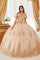 LaDivine 15701 Long Ball Gown Quinceanera Dresses