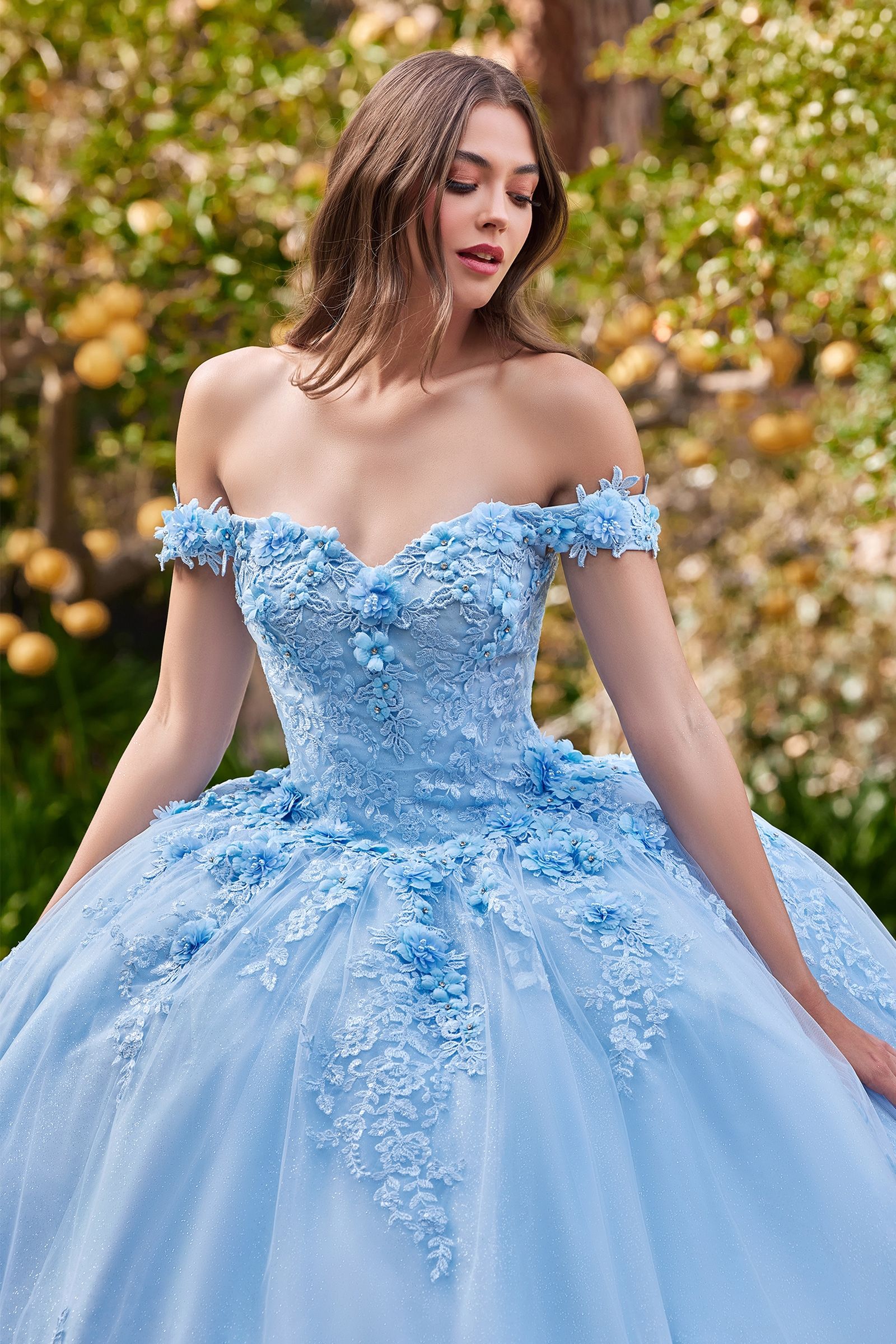 LaDivine 15702 Quinceanera Dress Long Sweet 16 Ball Gown