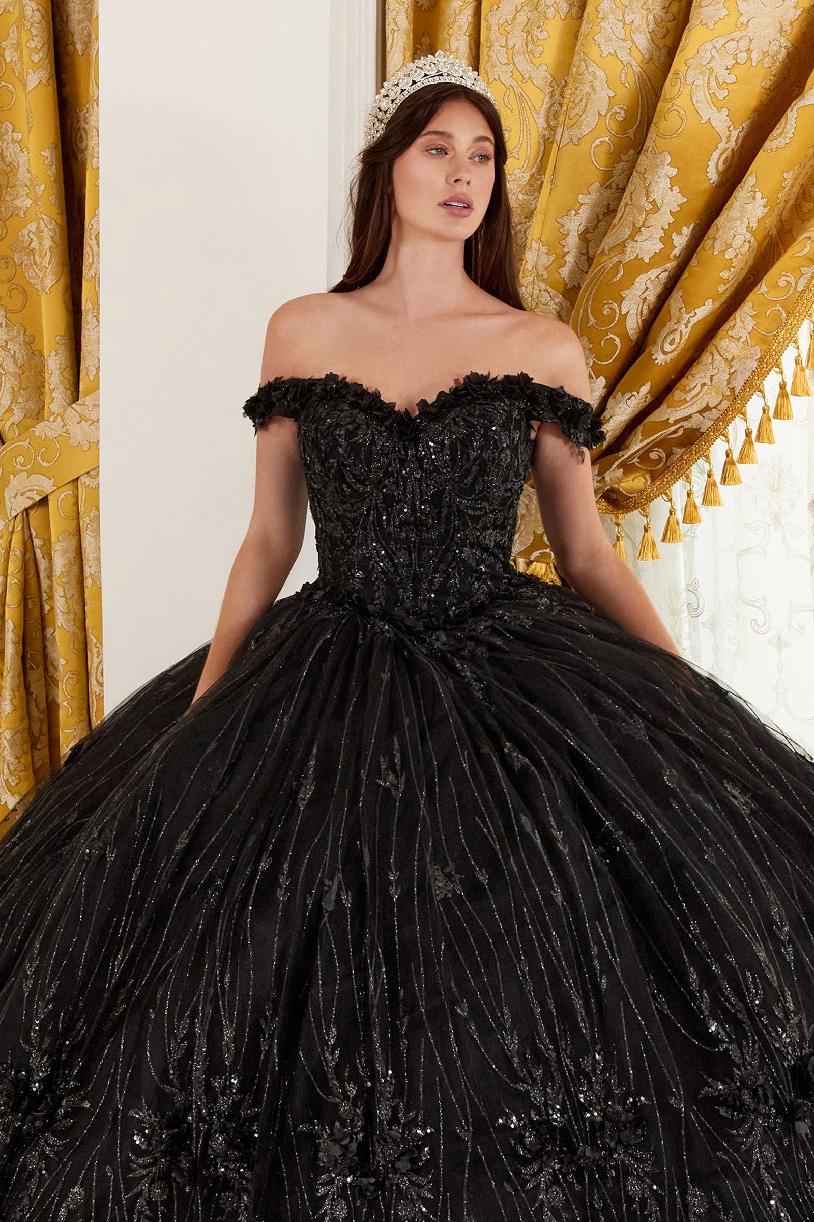 Quinceniera Dresses Ball Gown Long Glitter Floral Quinceanera Dress Black