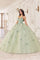 Quinceniera Dresses Long Ball Gown 3D Applique Sweet 16 Quinceanera Dress Sage