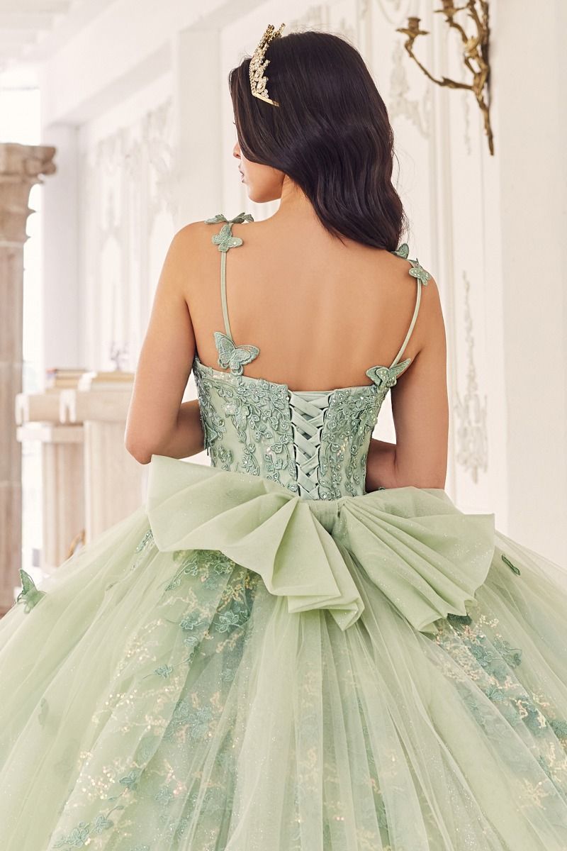 Quinceniera Dresses Long Ball Gown 3D Applique Sweet 16 Quinceanera Dress Sage