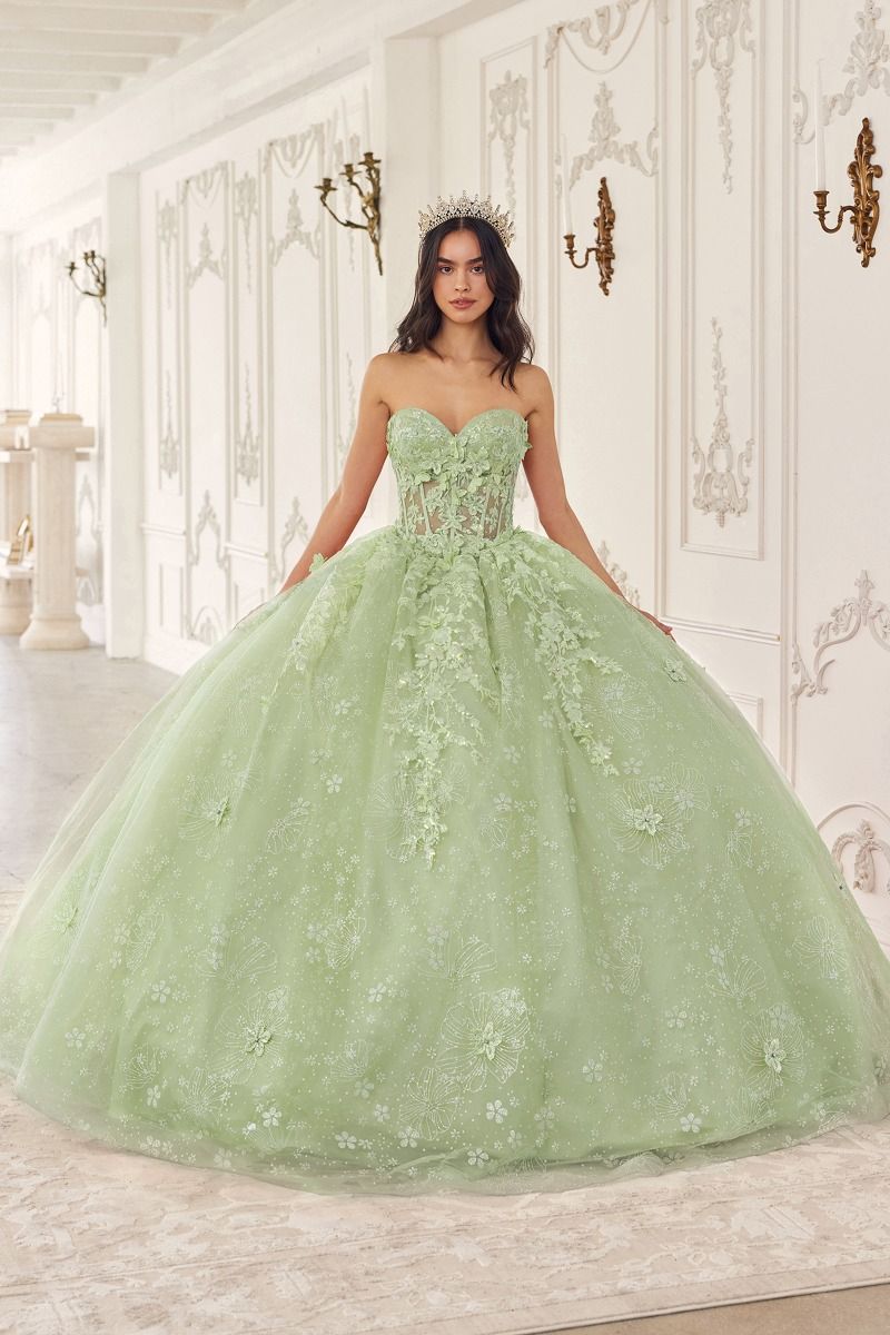 Quinceniera Dresses Long Floral Ball Gown Cape Quinceanera Dress Sage