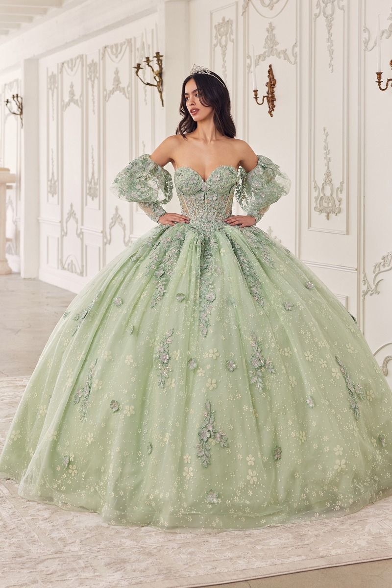 Quinceniera Dresses Lace Applique Quinceanera Long Ball Gown Sage