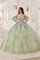 Quinceniera Dresses Lace Applique Quinceanera Long Ball Gown Sage