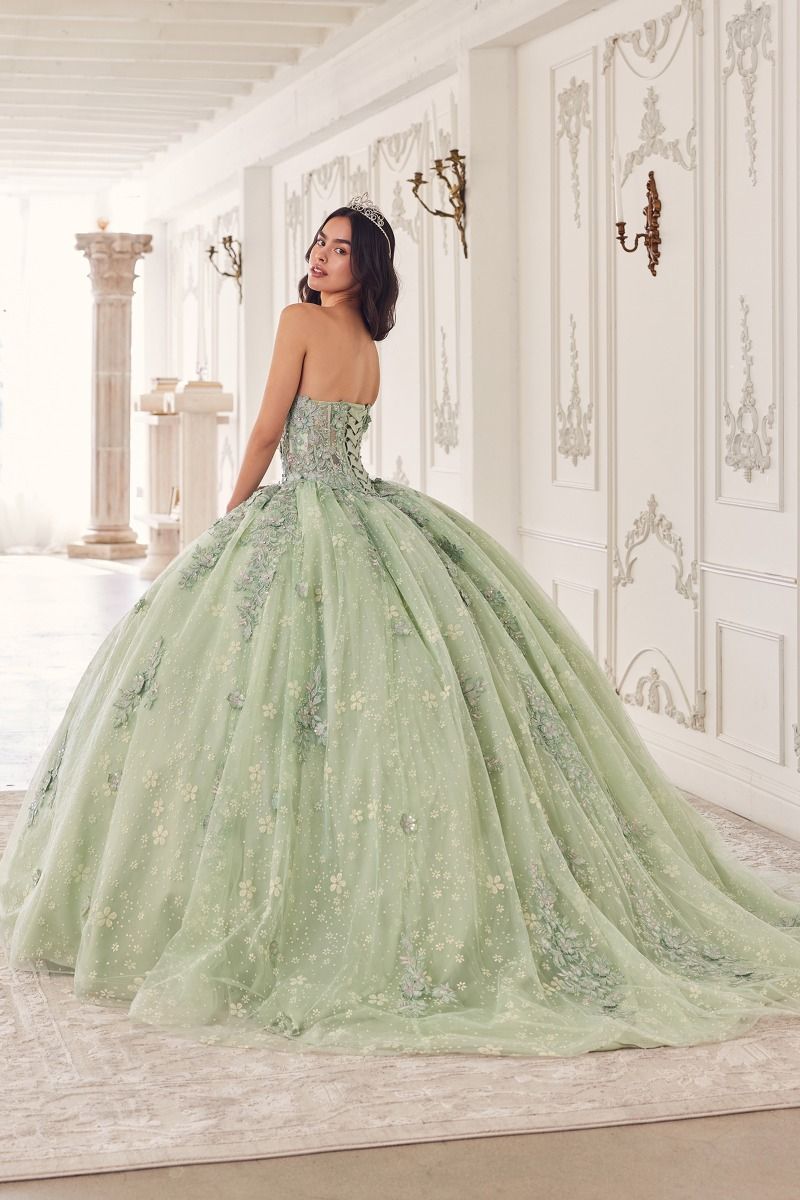 Quinceniera Dresses Lace Applique Quinceanera Long Ball Gown Sage