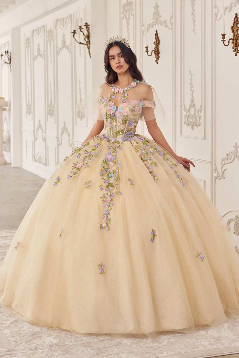 Quinceniera Dresses Long Floral Ball Gown Quinceanera Dress Champagne