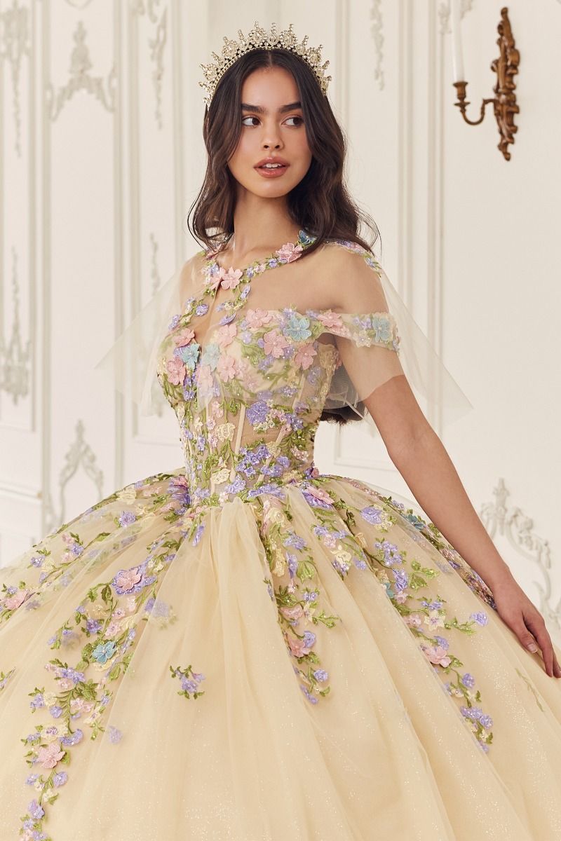 Quinceniera Dresses Long Floral Ball Gown Quinceanera Dress Champagne