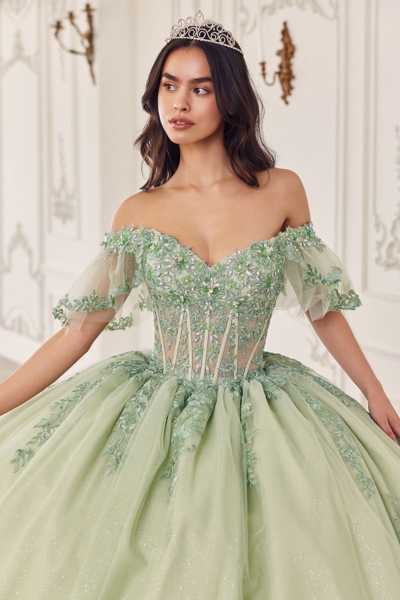 Quinceniera Dresses Long Quinceanera Dress Applique Ball Gown Sage