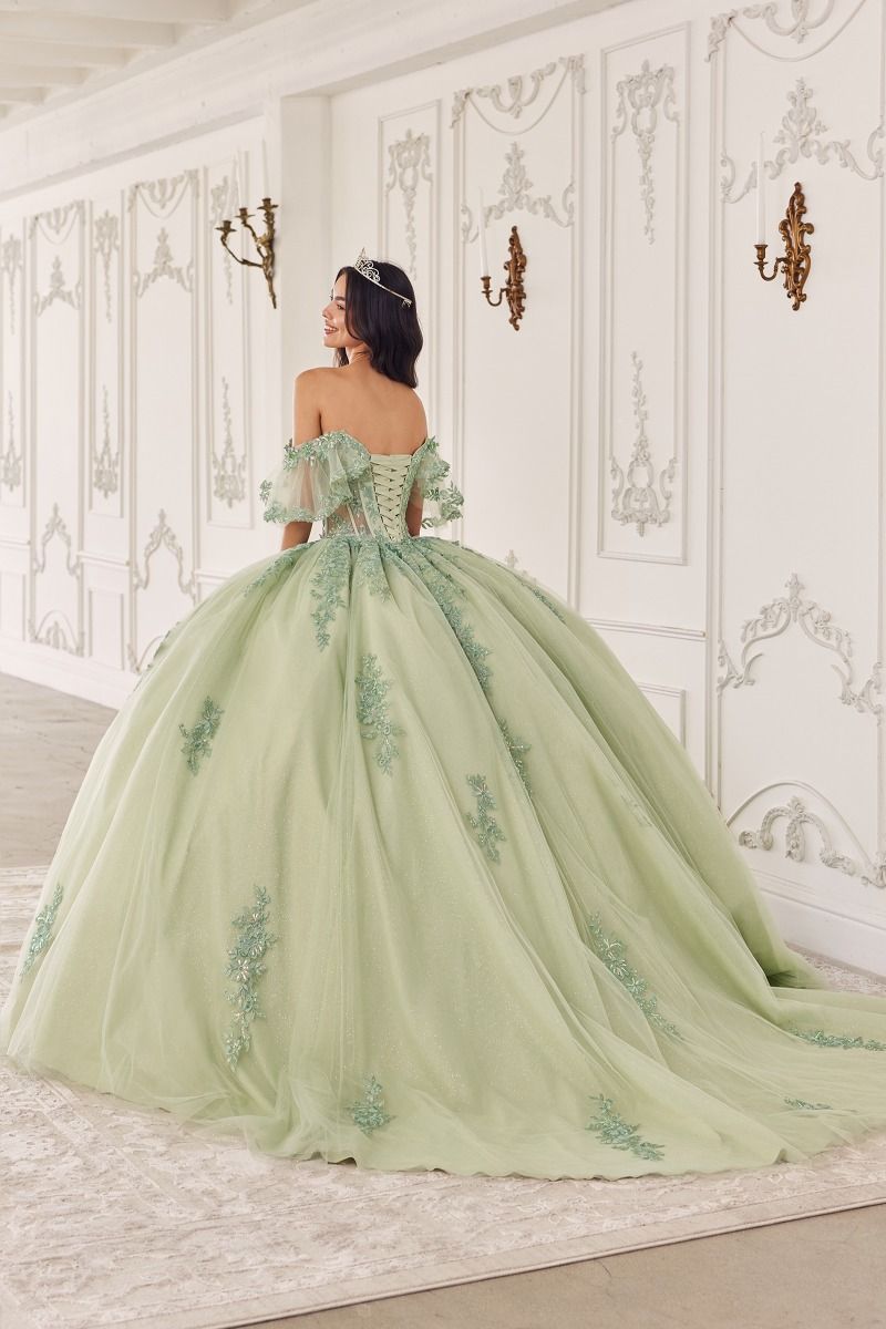 Quinceniera Dresses Long Quinceanera Dress Applique Ball Gown Sage