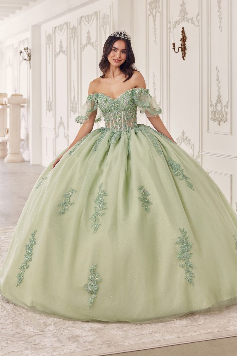 Quinceniera Dresses Long Quinceanera Dress Applique Ball Gown Sage
