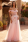 Off-the-Shoulder Floral Applique A-Line Gown – Pink
