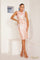Cocktail Dresses Sheath Short Evening Dress Blush Rose