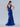 Prom Dresses Floral Applique Prom Sequin Long Formal Dress Royal