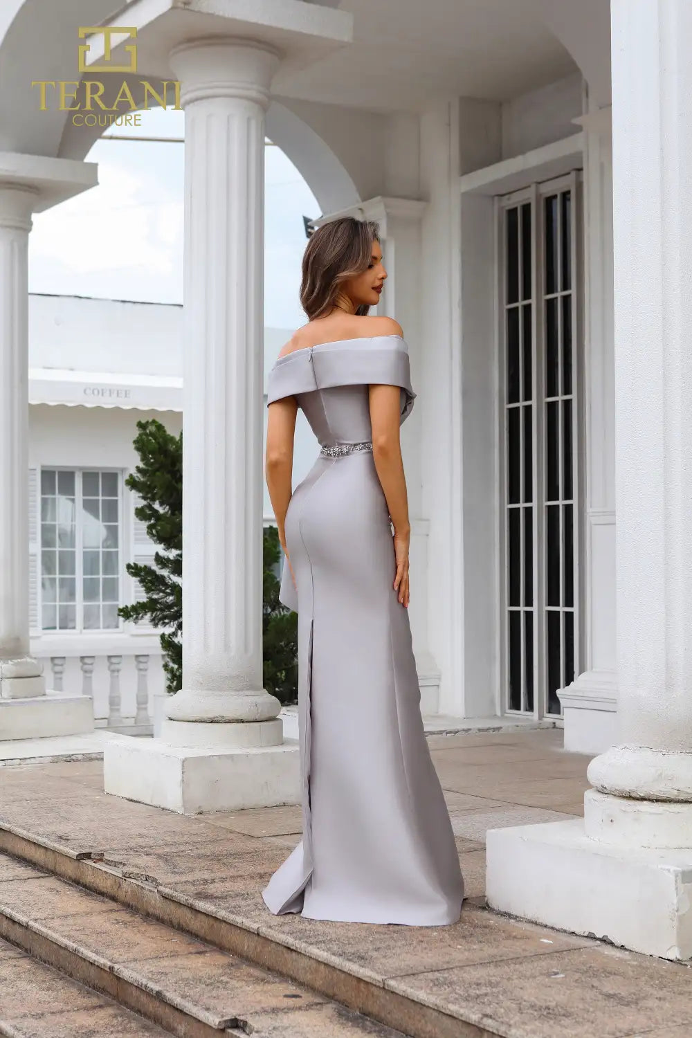 Formal Dresses Long Evening Gown Fitted Formal Dress  Taupe Silver