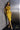 Cocktail Dresses  Bodycon Short Fitted Peplum Cocktail Dress Gold