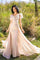 Formal Dresses Evening Long Fitted Overskirt Formal Dress Champagne Gold
