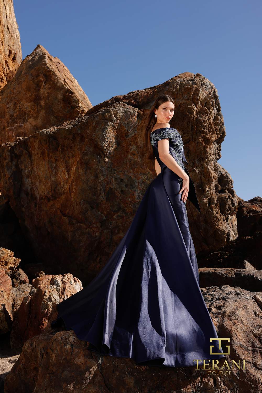 Formal Dresses Long Fitted Overskirt Formal Dress Navy Navy