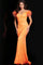 Prom Dresses Prom Formal Evening Long Gown Orange