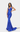 Prom Dresses Prom Long Fitted Evening Formal Dress Royal