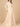 Formal  Dresses Long Lace Formal Overskirt Evening Dress Champagne