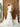 Wedding Dresses Long Bridal Gown Lace Bolero Wedding Dress Off White