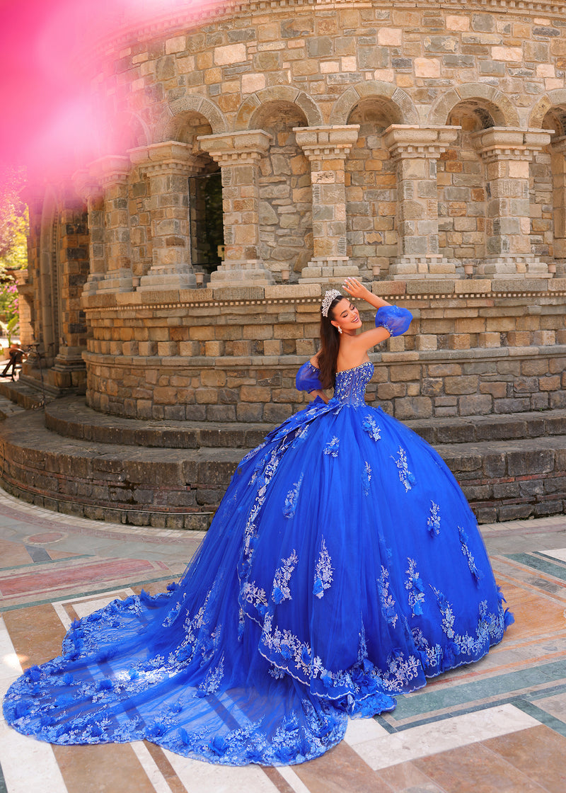 Quinceanera Dresses Quinceañera Long Sweet 16 Ball Gown Royal Blue