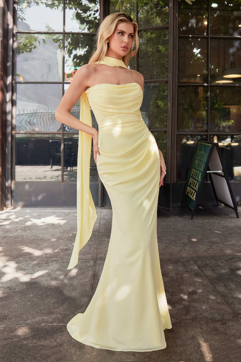 LaDivine 7433 Fitted Long Formal Prom Dress