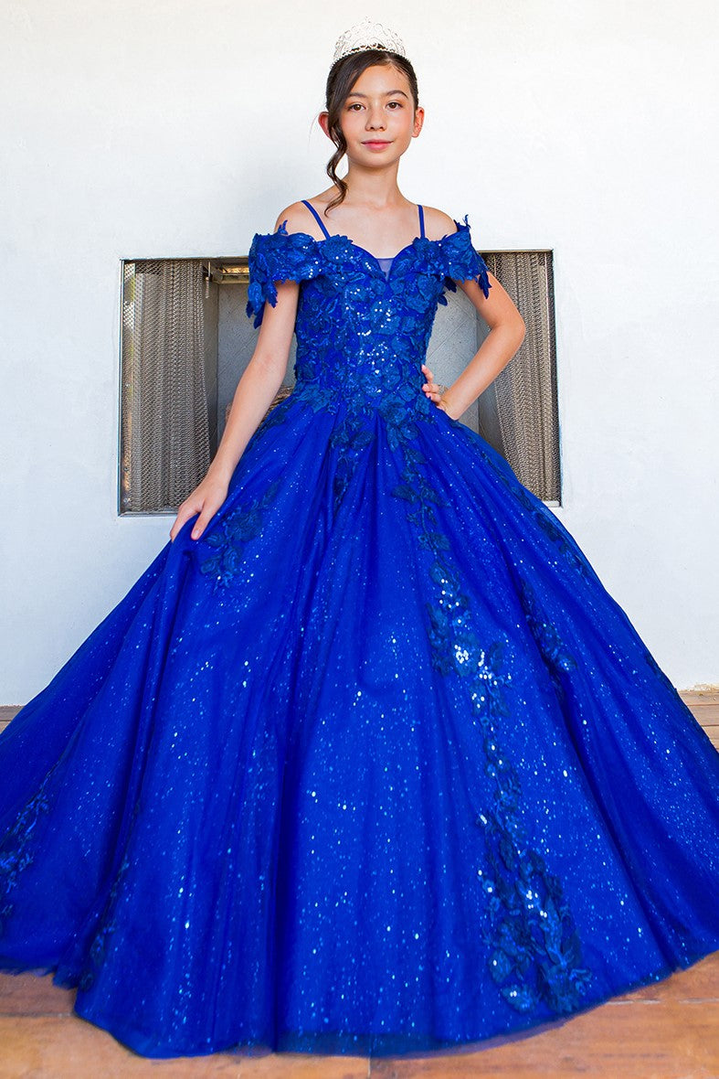 Flower Girl Dresses Flower Girl 3D Floral Applique Sequin Dress Royal