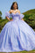 Quinceniera Dresses Long Ball Gown 3D Floral Quinceanera Dress Blue