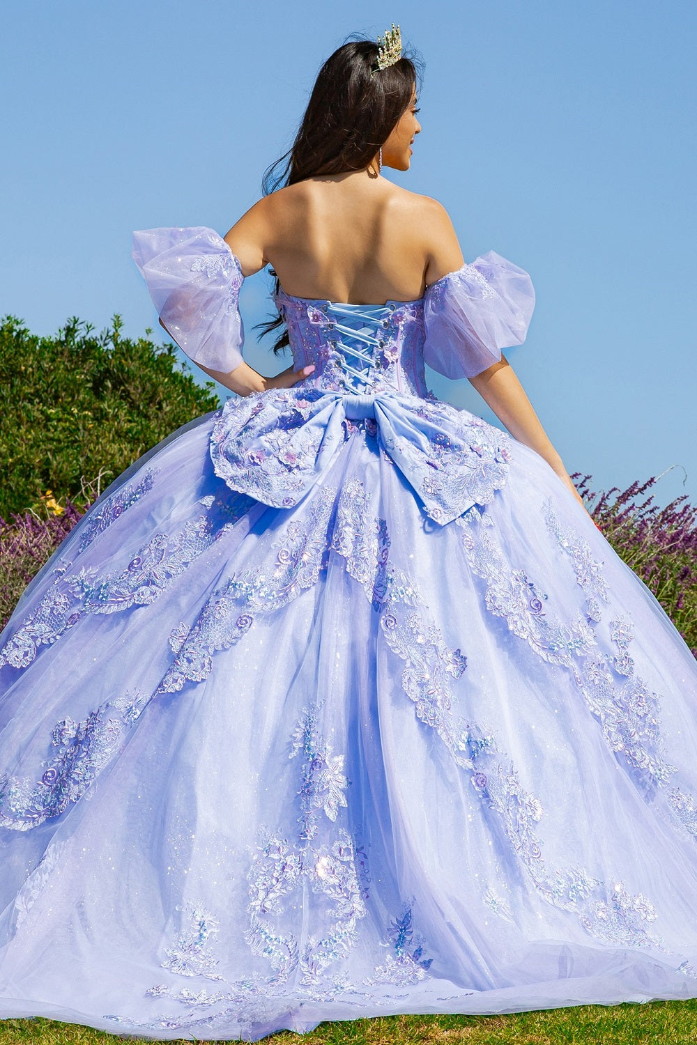 Quinceniera Dresses Long Ball Gown 3D Floral Quinceanera Dress Blue