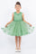 Flower Girl Dresses Flower Girl 3D Floral Applique A Line Short Dress Sage