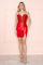 Cocktail Dresses Short Fitted Corset Homecoming Cocktail Dress Red