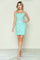 Cocktail Dresses Short Fitted Lace Corset Cocktail Dress Mint