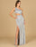 Prom Dresses Formal Long Beaded Fringe Prom Dress Silver