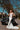 Wedding Dresses Long Fitted Floral Lace Wedding Dress White/White