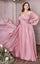 LaDivine CD243C Long  A Line Plus Size Formal Dress