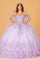 Quinceniera Dresses Long Ball Gown Glitter Applique Quinceanera Dress Lilac