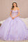 Quinceniera Dresses Applique Jewel Quinceanera Long Tail Ball Gown Lilac