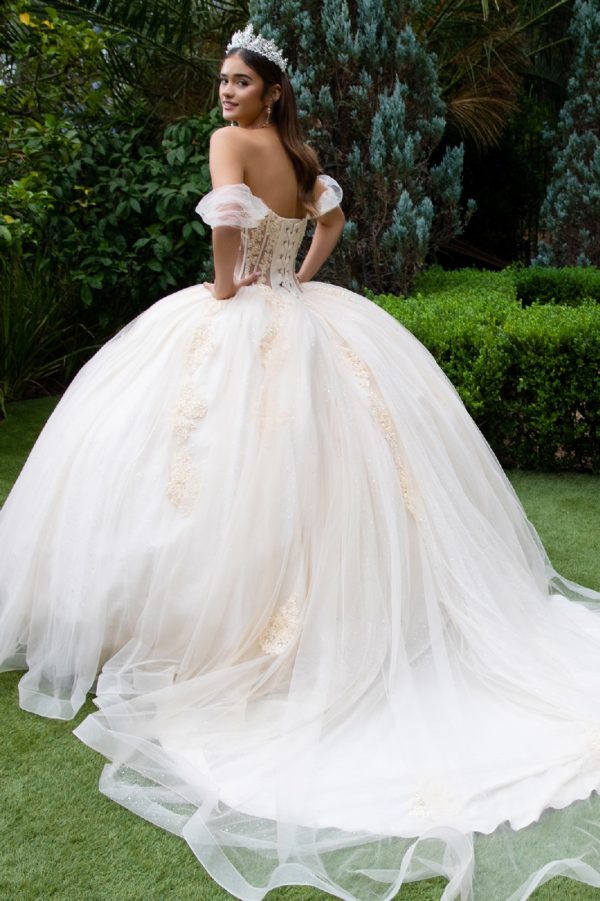 Quinceanera Dresses Long Glitter Beaded Quinceanera Dress Champagne