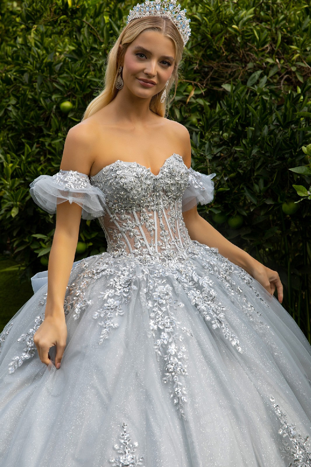 Quinceniera Dresses Long Ball Gown Quinceanera Glitter Dress Silver