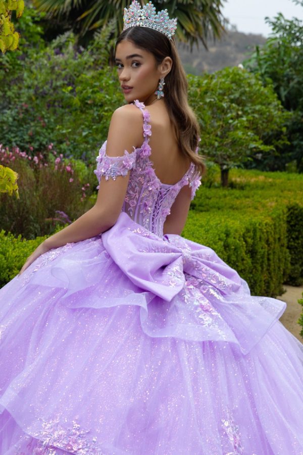 Quinceniera Dresses Long Ball Gown Applique Quinceanera Dress Lavender